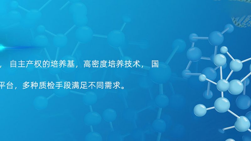 原料药CDMO质量标准：合规之路上的关键要素
