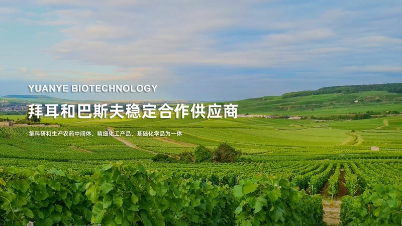 生物医药制剂OEM生产流程揭秘：从源头把控质量**