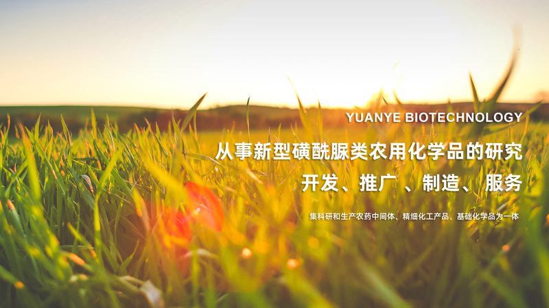 DMEM培养基选型：揭秘细胞培养中的关键一环**