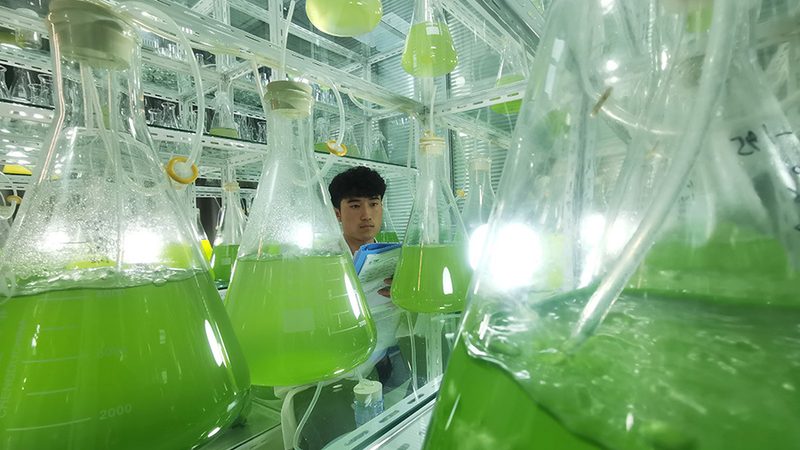 生物制品GMP认证，这些文件不可或缺**